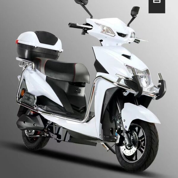 Electric motorcycle